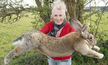 Annette Edwards i jeden z jej królików