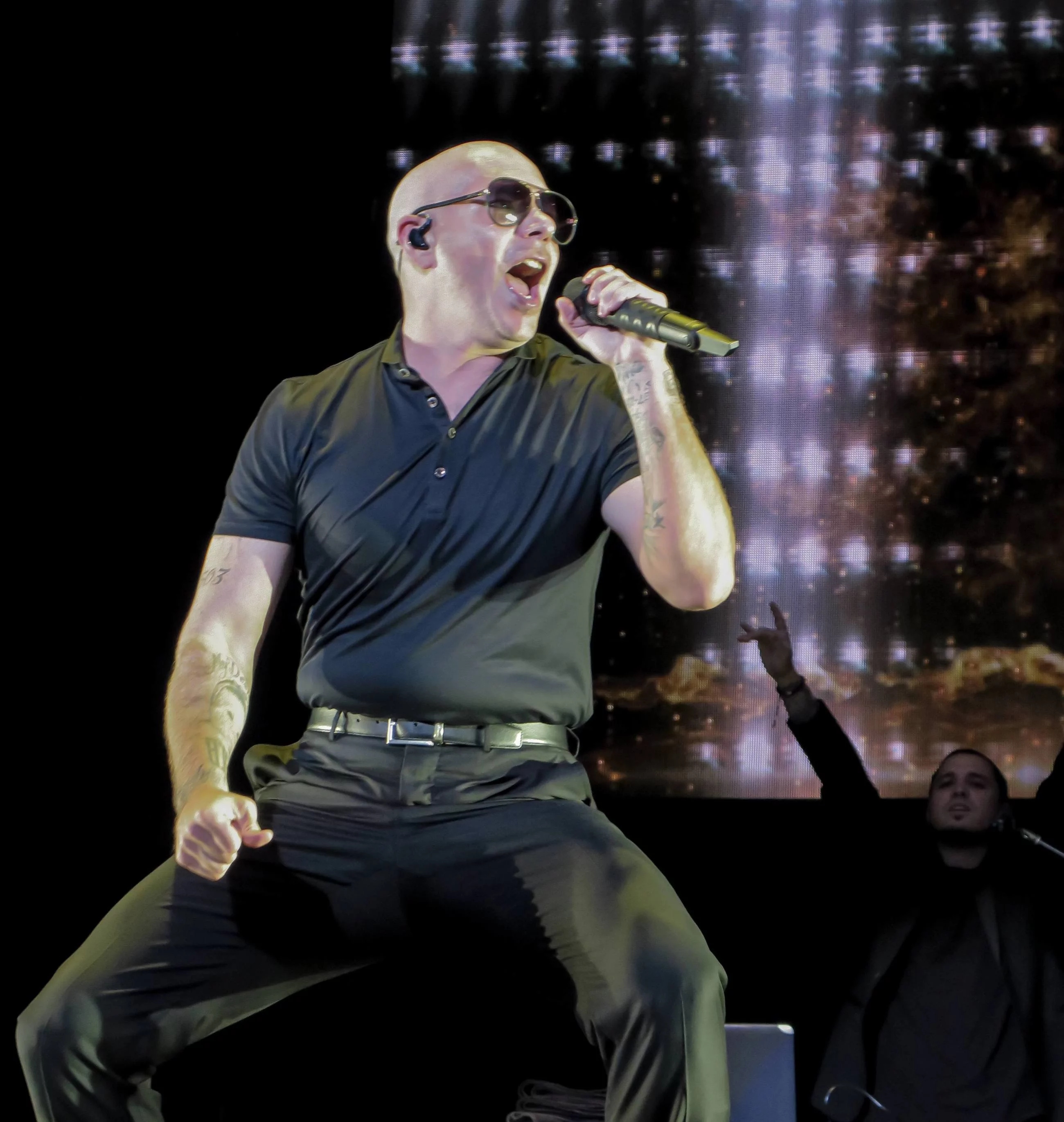 Pitbull (Armando Christian Pérez)