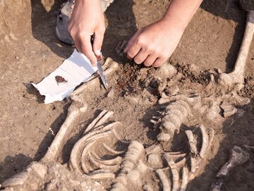 Archeolog podczas wykopalisk, zdjęcie ilustracyjne