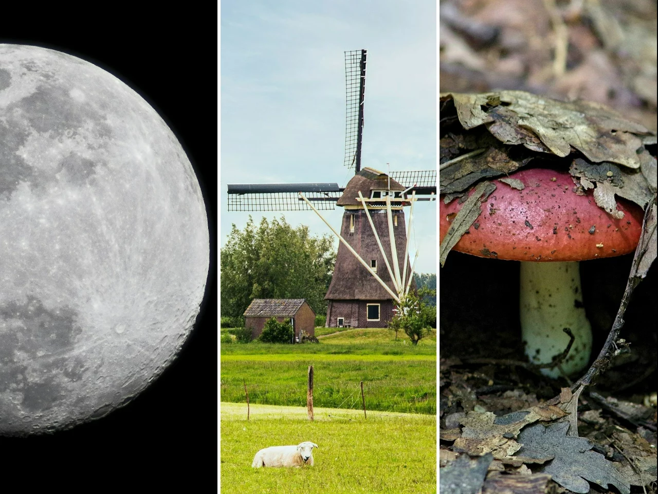 Quiz z wiedzy ogólnej