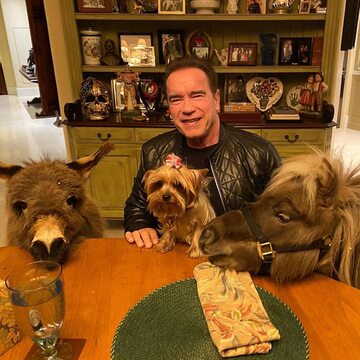 Arnold Schwarzenegger w towarzystwie swoich zwierząt