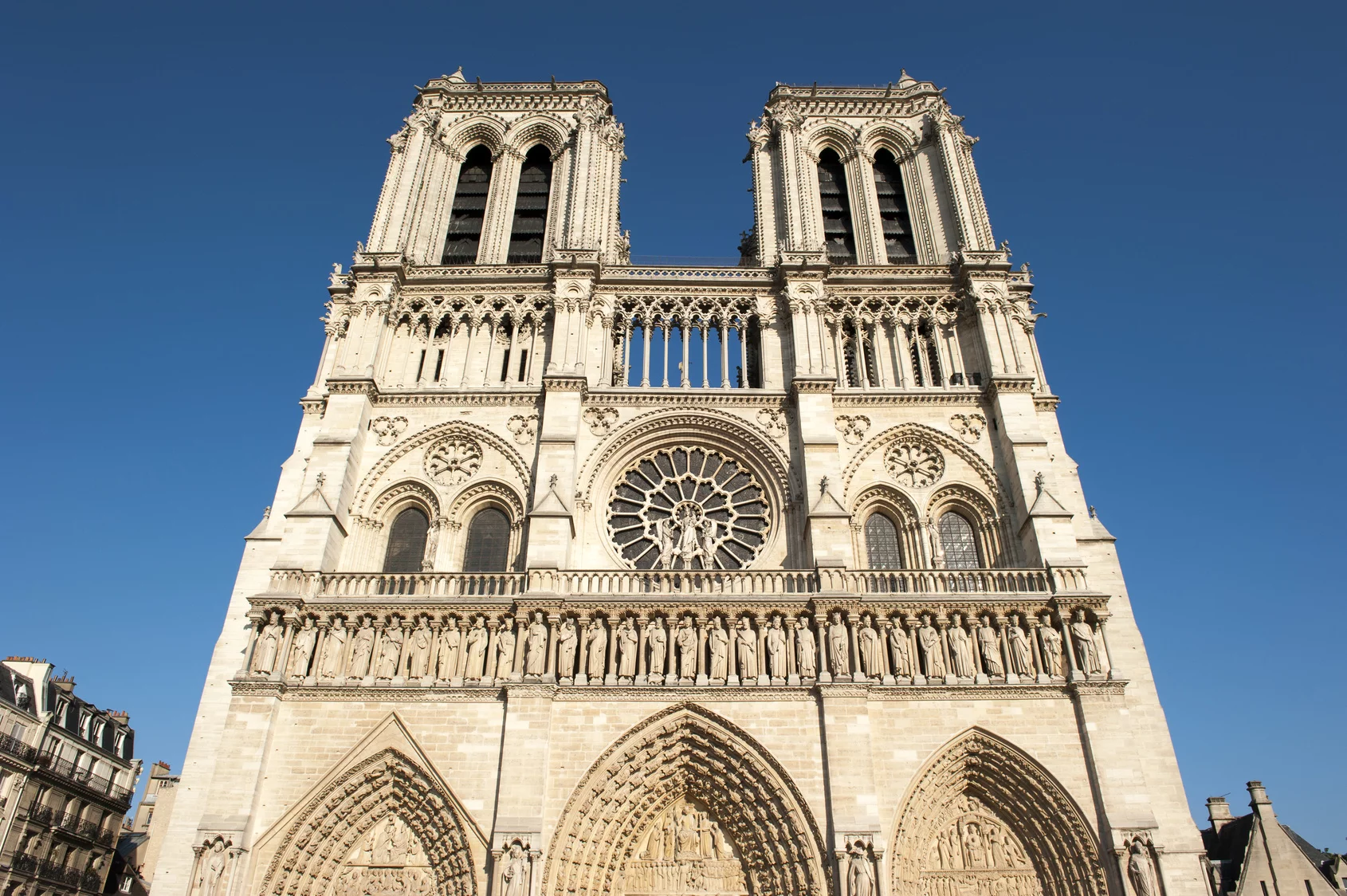 Katedra Notre Dame