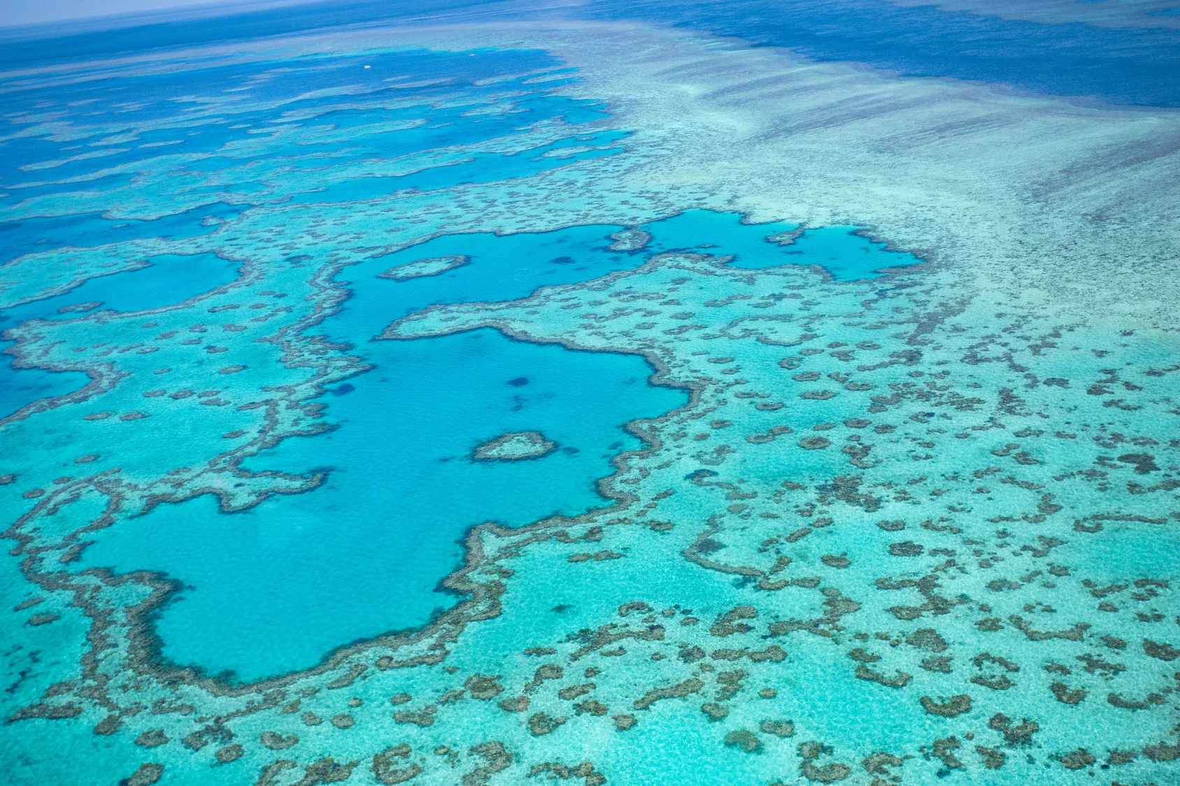 Wielka Rafa Koralowa, Australia