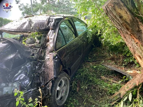 Honda uderzyła w drzewo