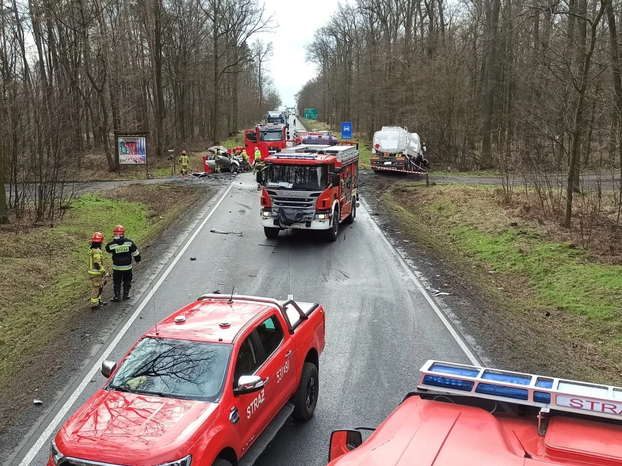 Śmiertelny wypadek na DK11 pod Ostrowem Wielkopolskim