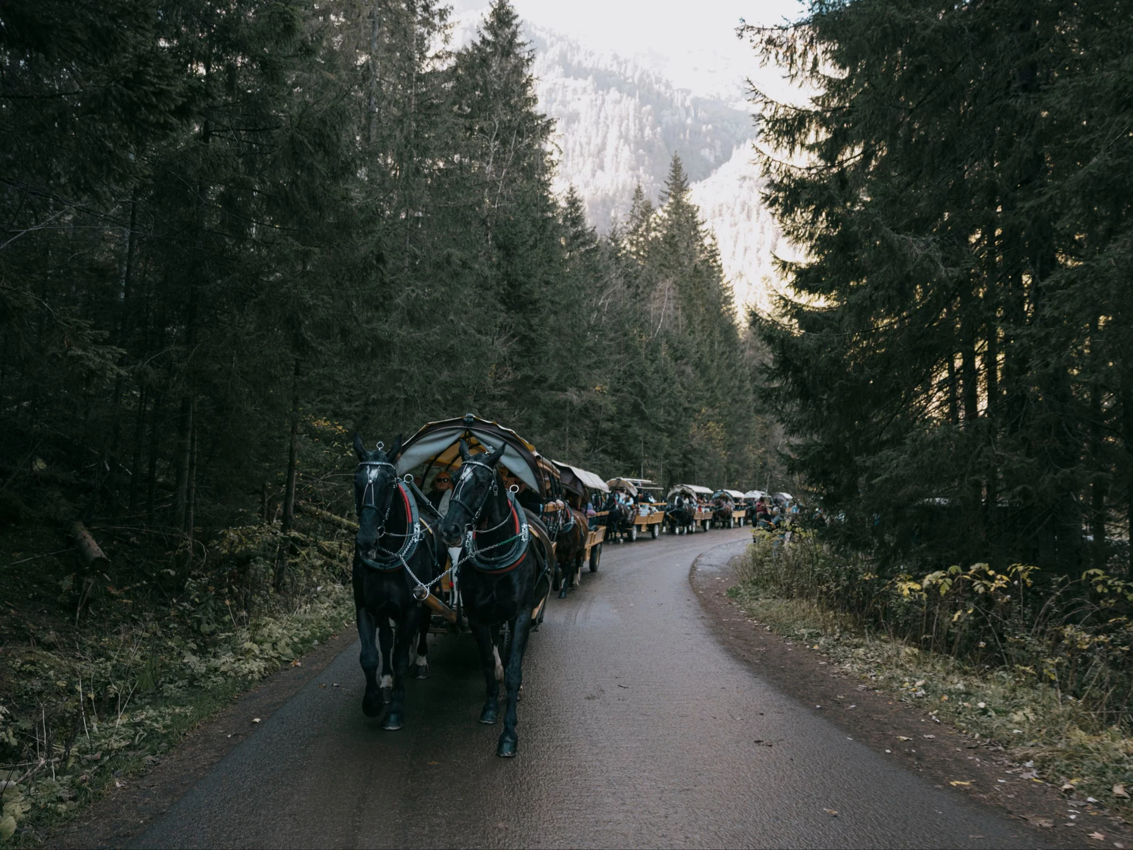 150-lecie transportu konnego do Morskiego Oka