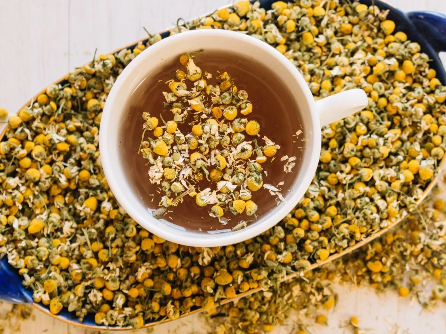 Napar z mniszka lekarskiego