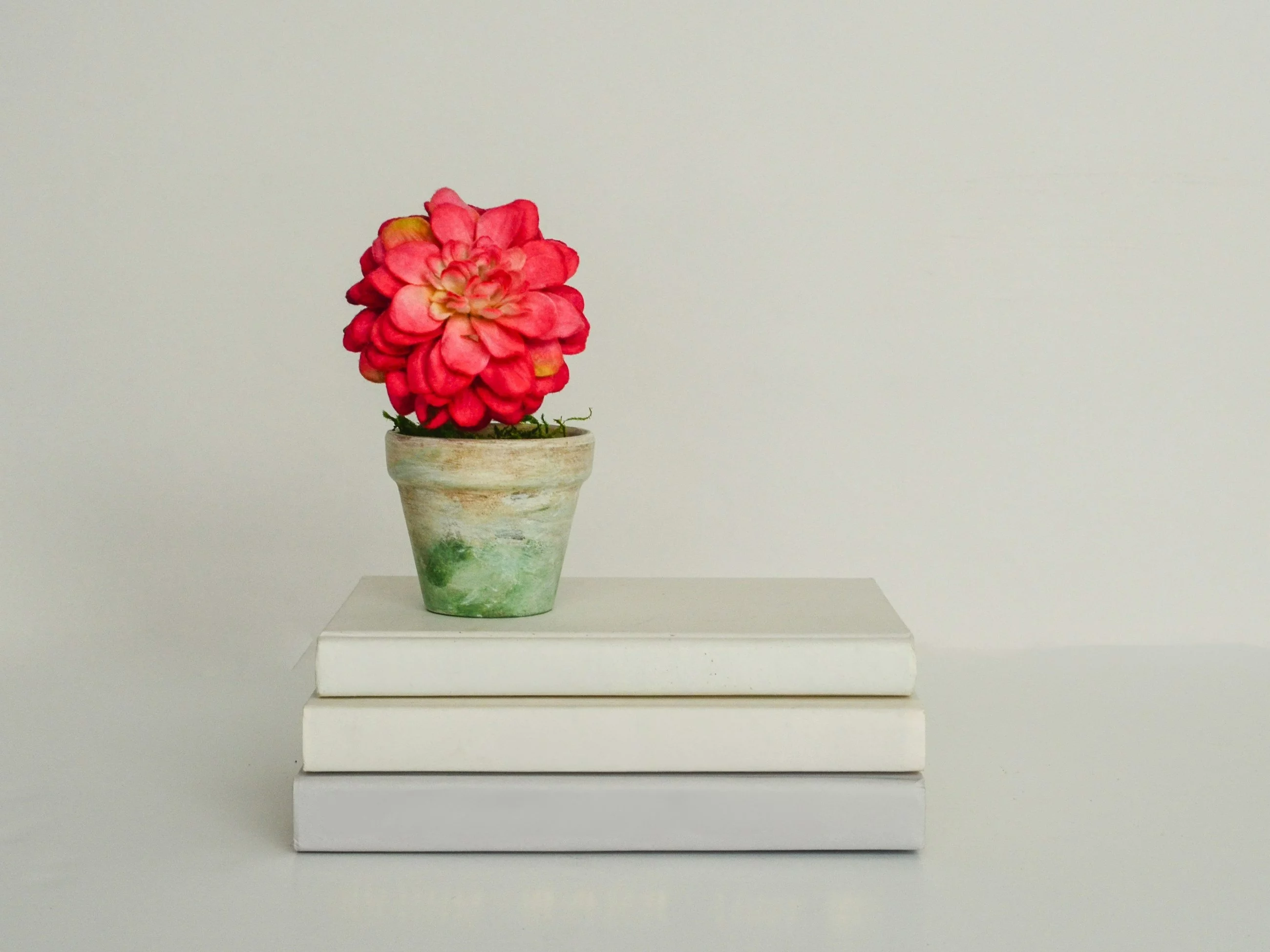 Quiz ortograficzny, zdjęcie ilustracyjne