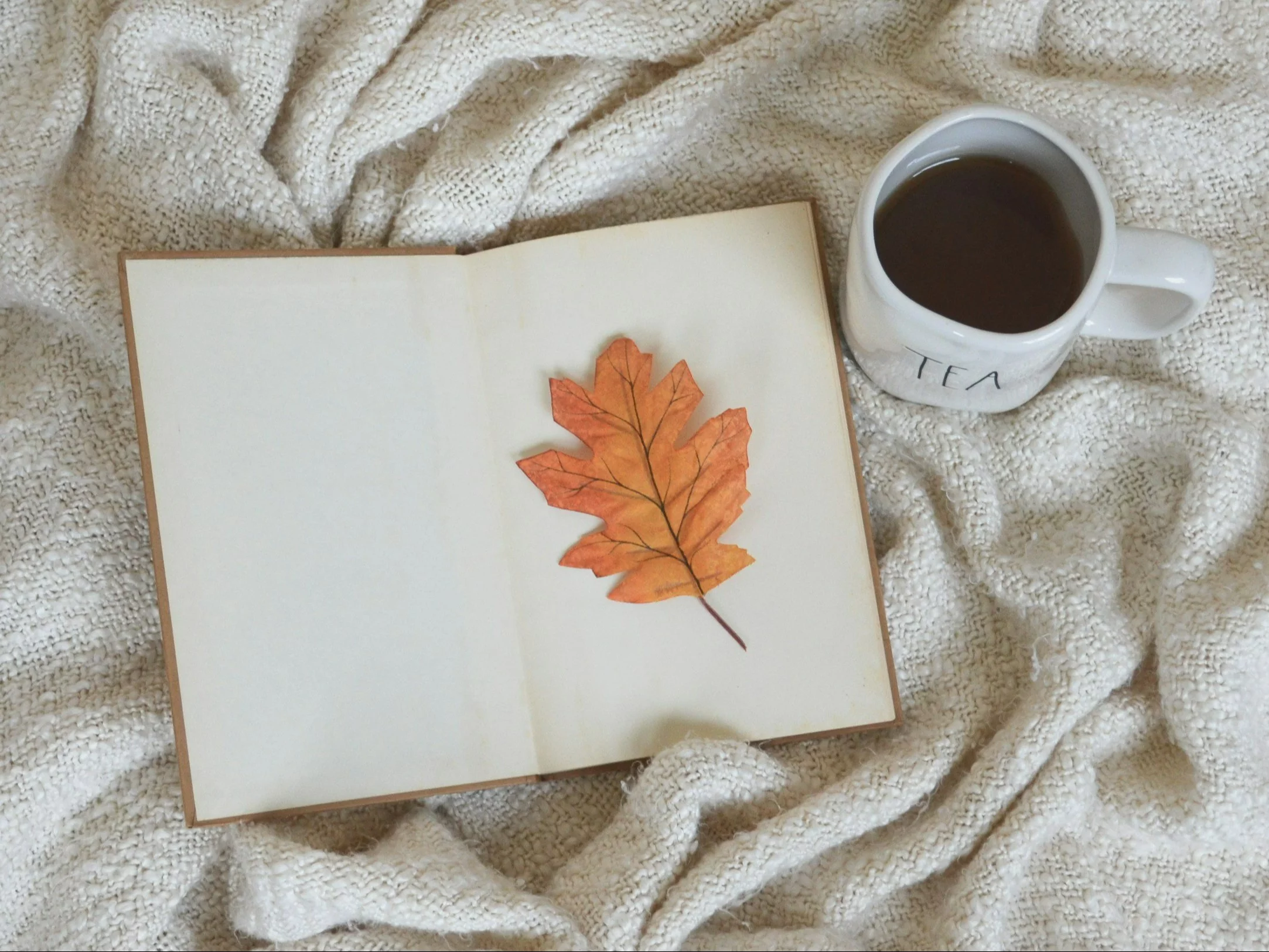 Banalny QUIZ językowy. U czy ó?