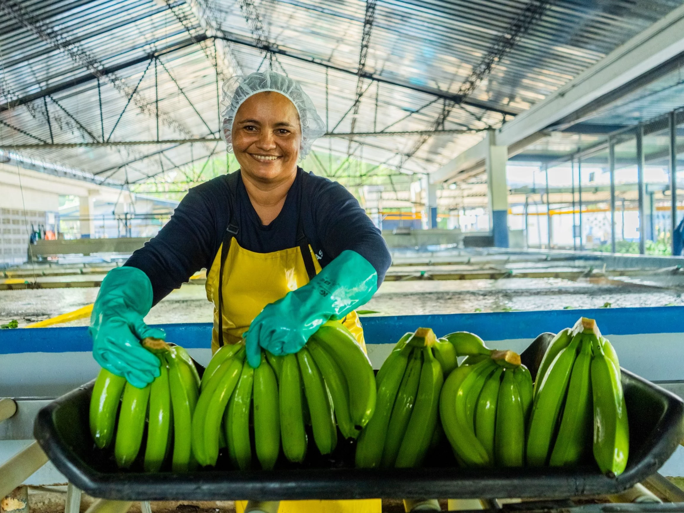 W Lidlu coraz więcej produktów z certyfikatem Fairtrade