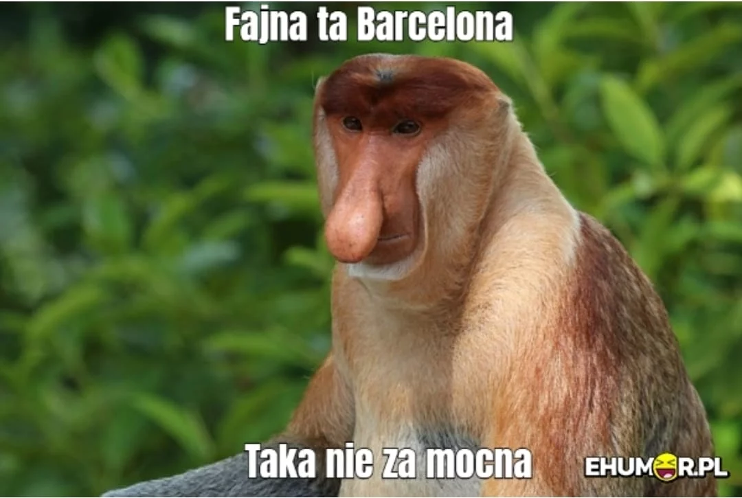 Mem po meczu FC Barcelony z Bayernem Monachium