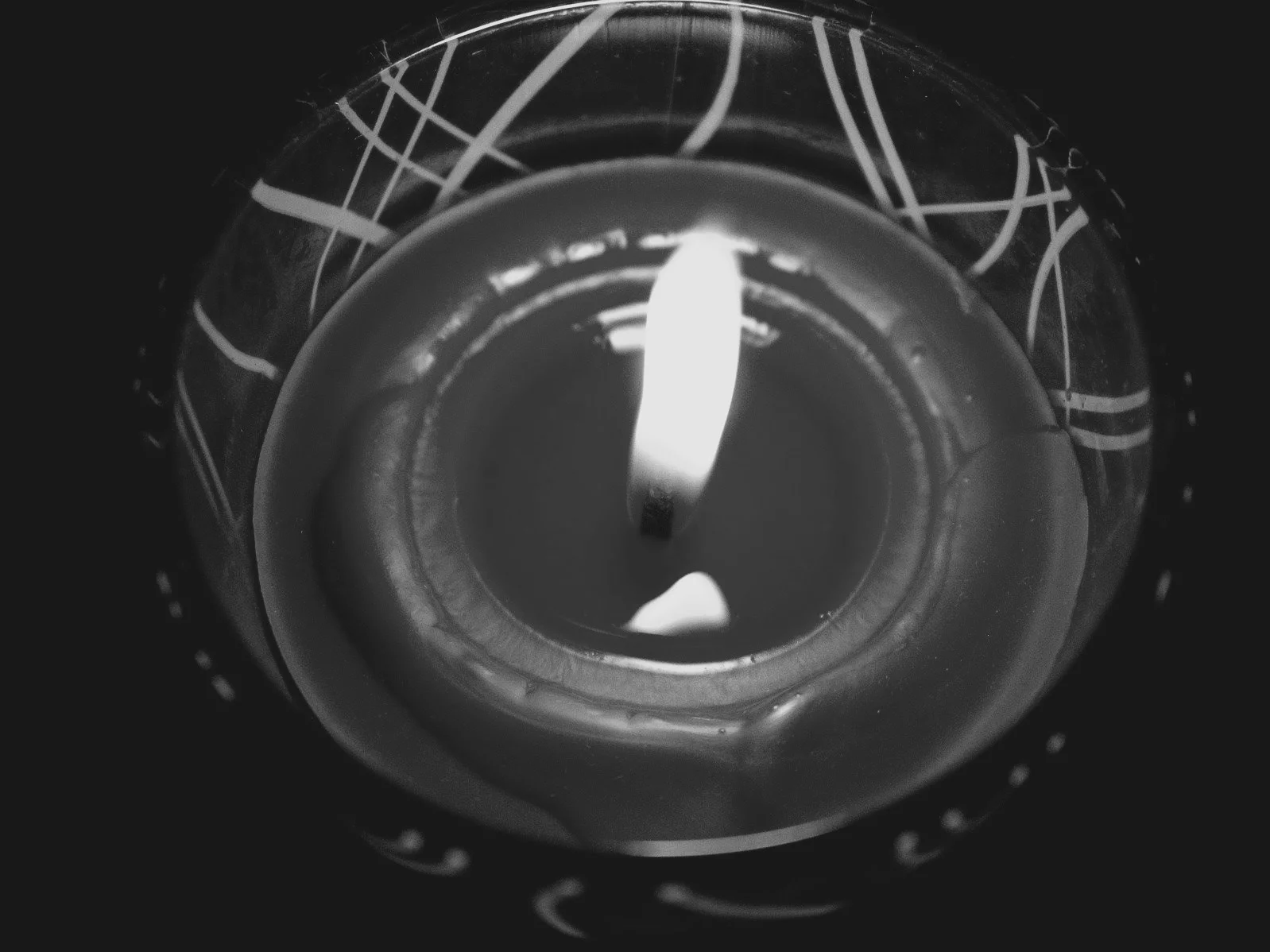 Nie żyje gwiazda kultowej „Dynastii”. Odeszła w wieku 98 lat