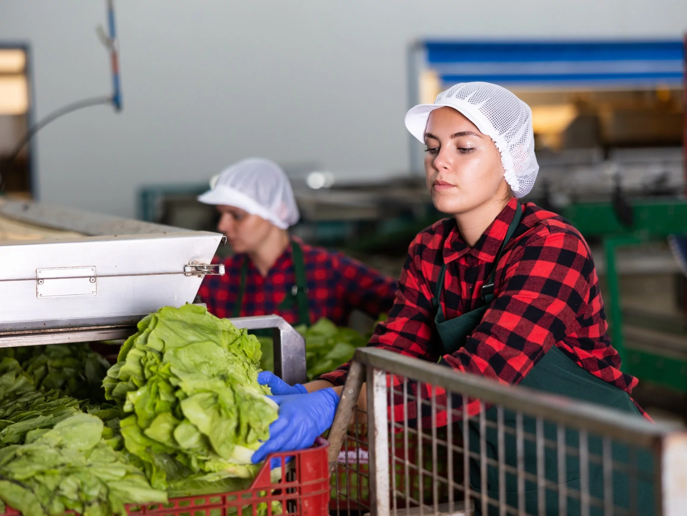 Bezrobocie w Polsce utrzymuje się na rekordowo niskim poziomie