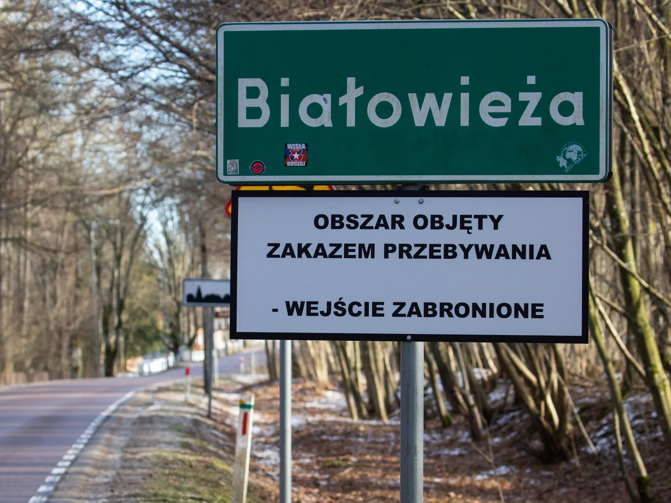 Białowieża