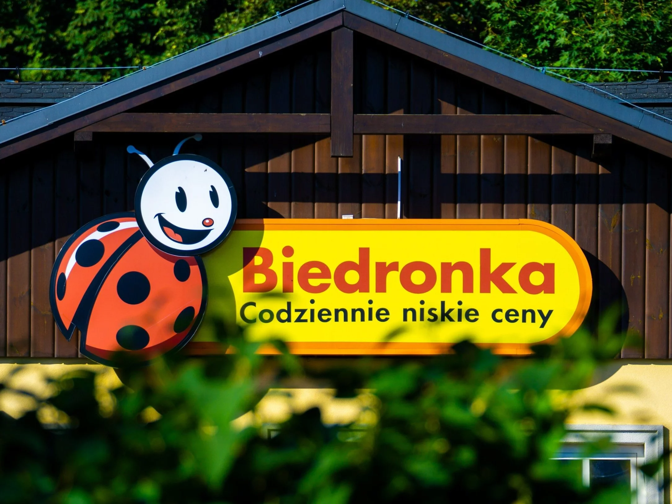 Biedronka