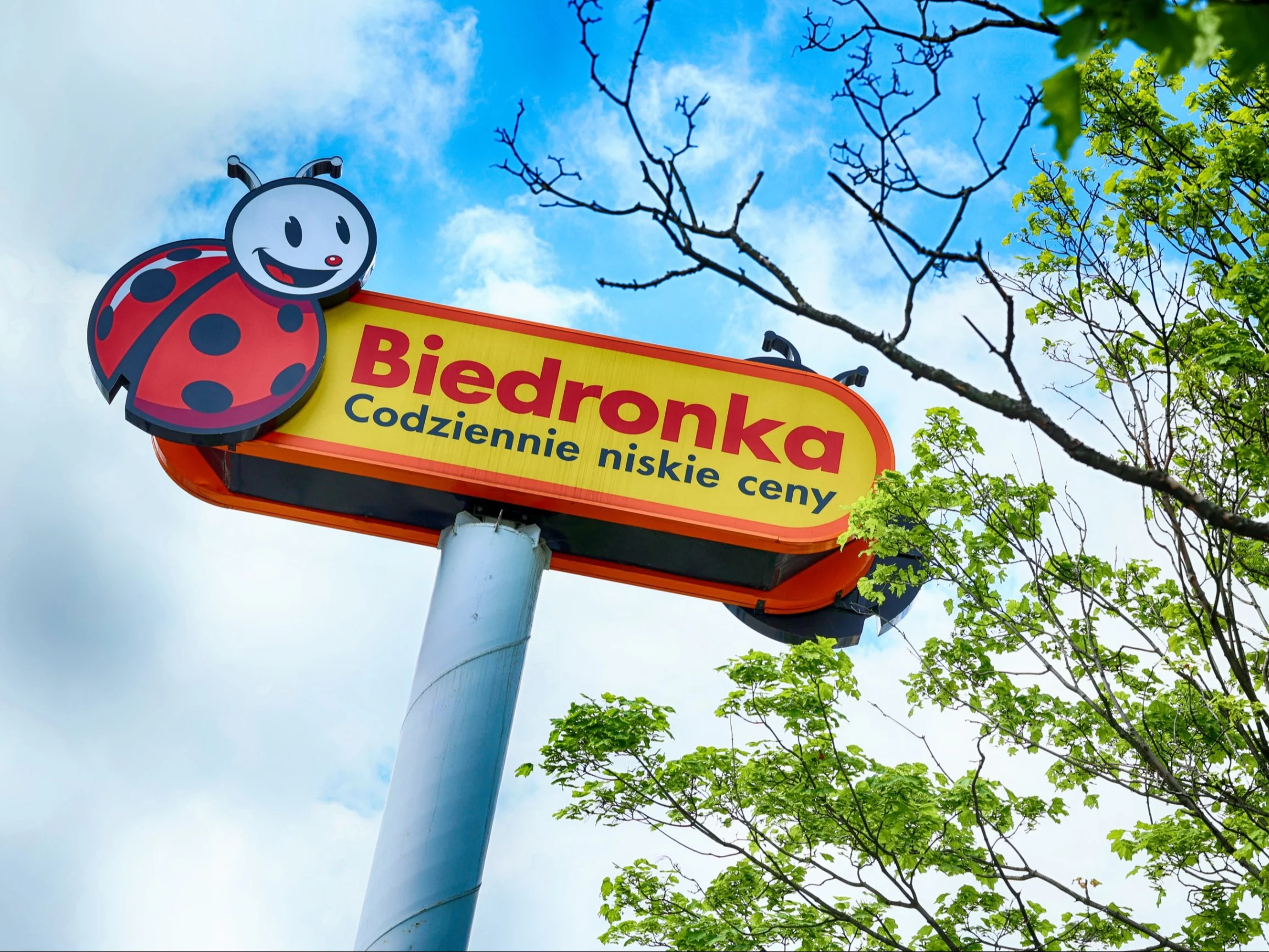 Sieć sklepów Biedronka