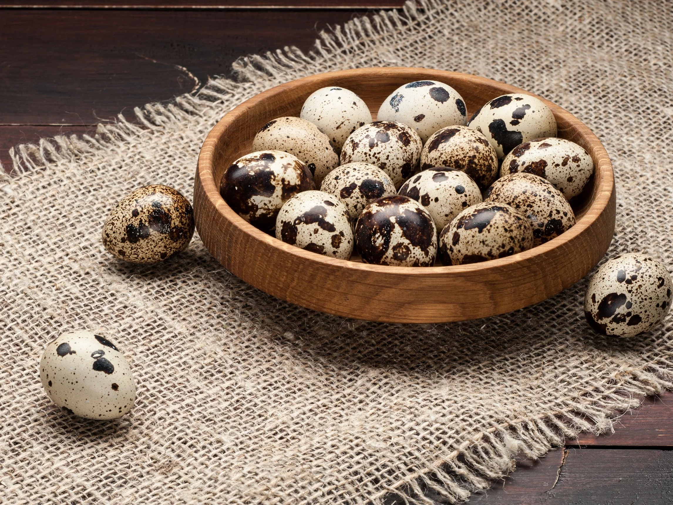 Jajka przepiórcze