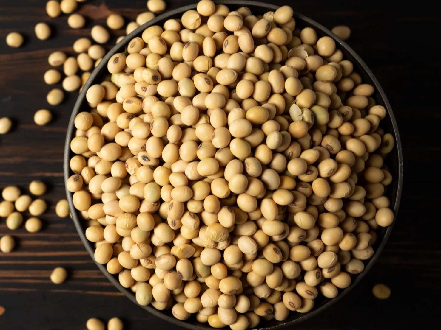 Bije kurczaka na głowę? Ma 36 g białka w 100 g, ale jest haczyk