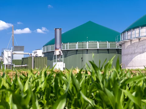 Rząd upraszcza przepisy dla producentów zielonego gazu