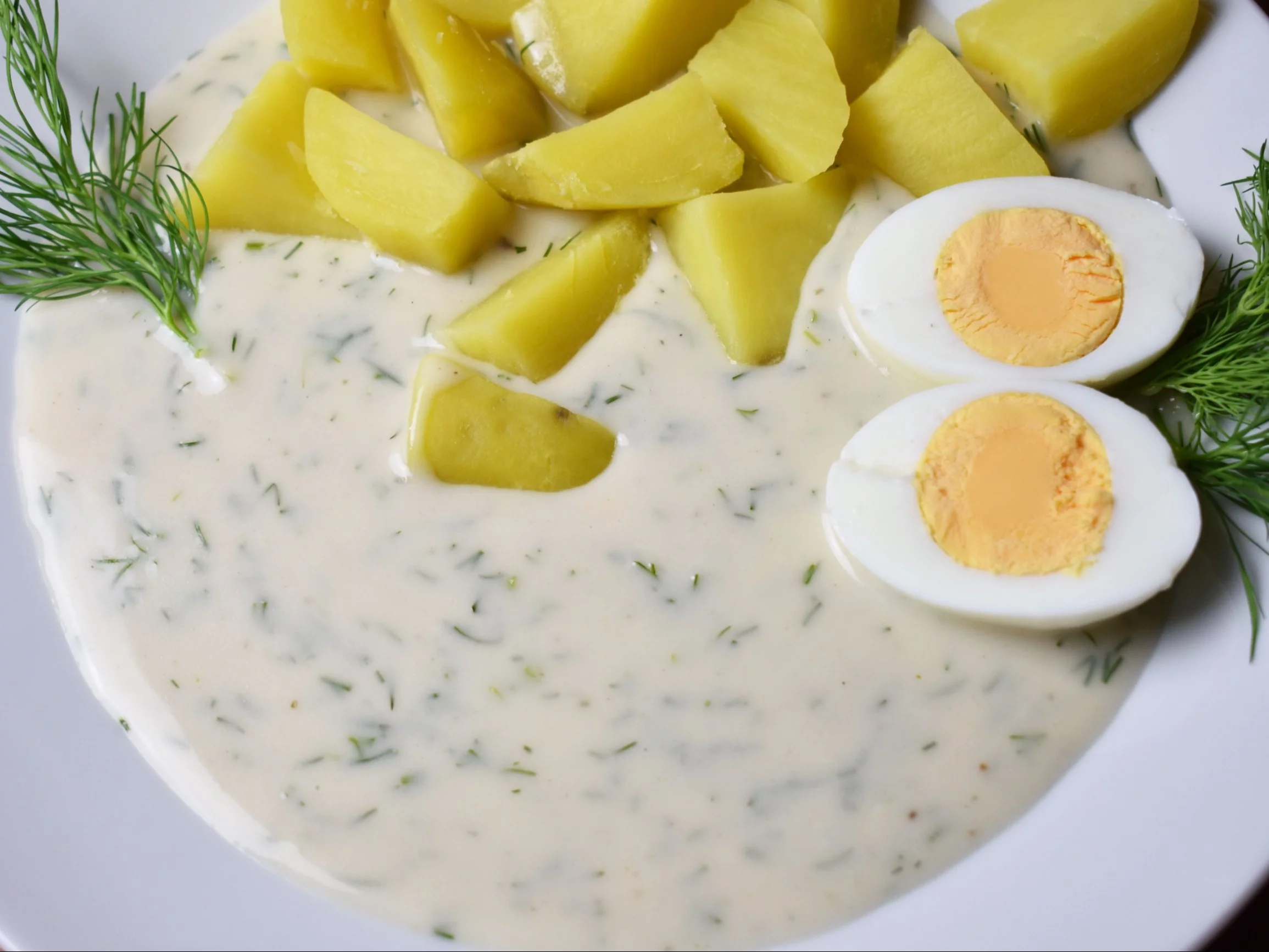 Danie z sosem koperkowym