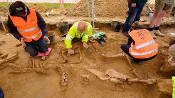 Bitwa pod Waterloo. Archeolodzy odkryli nowe kości na farmie Mont-Saint-Jean