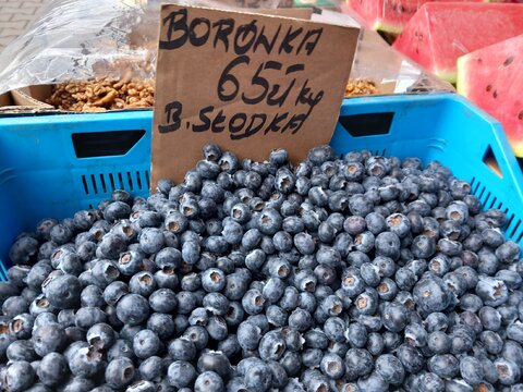 Borówki