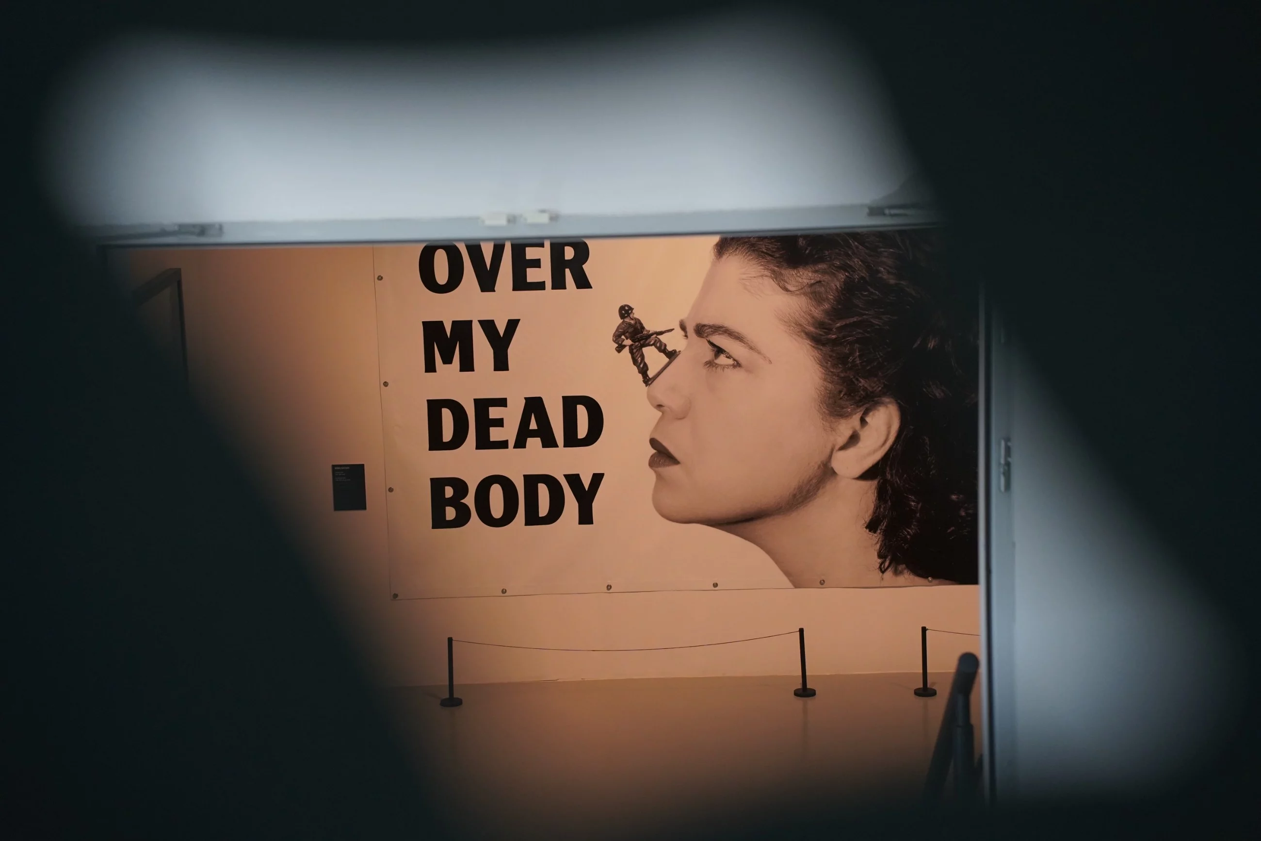 Praca: Over My Dead Body, Mona Hatoum, 1988-2002, INK-JET ON PVC, © Mona Hatoum. All Rights Reserved, DACS 2025