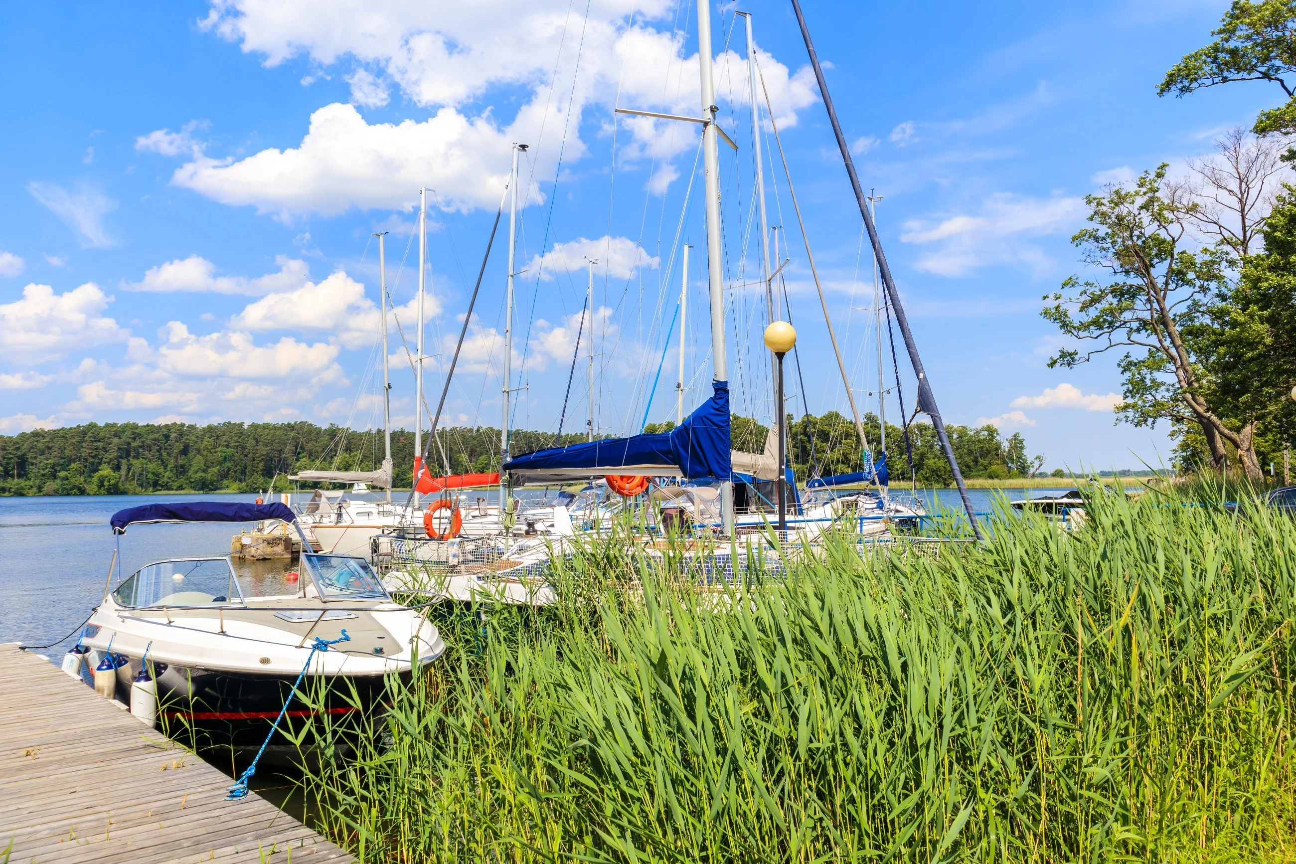 Mazury