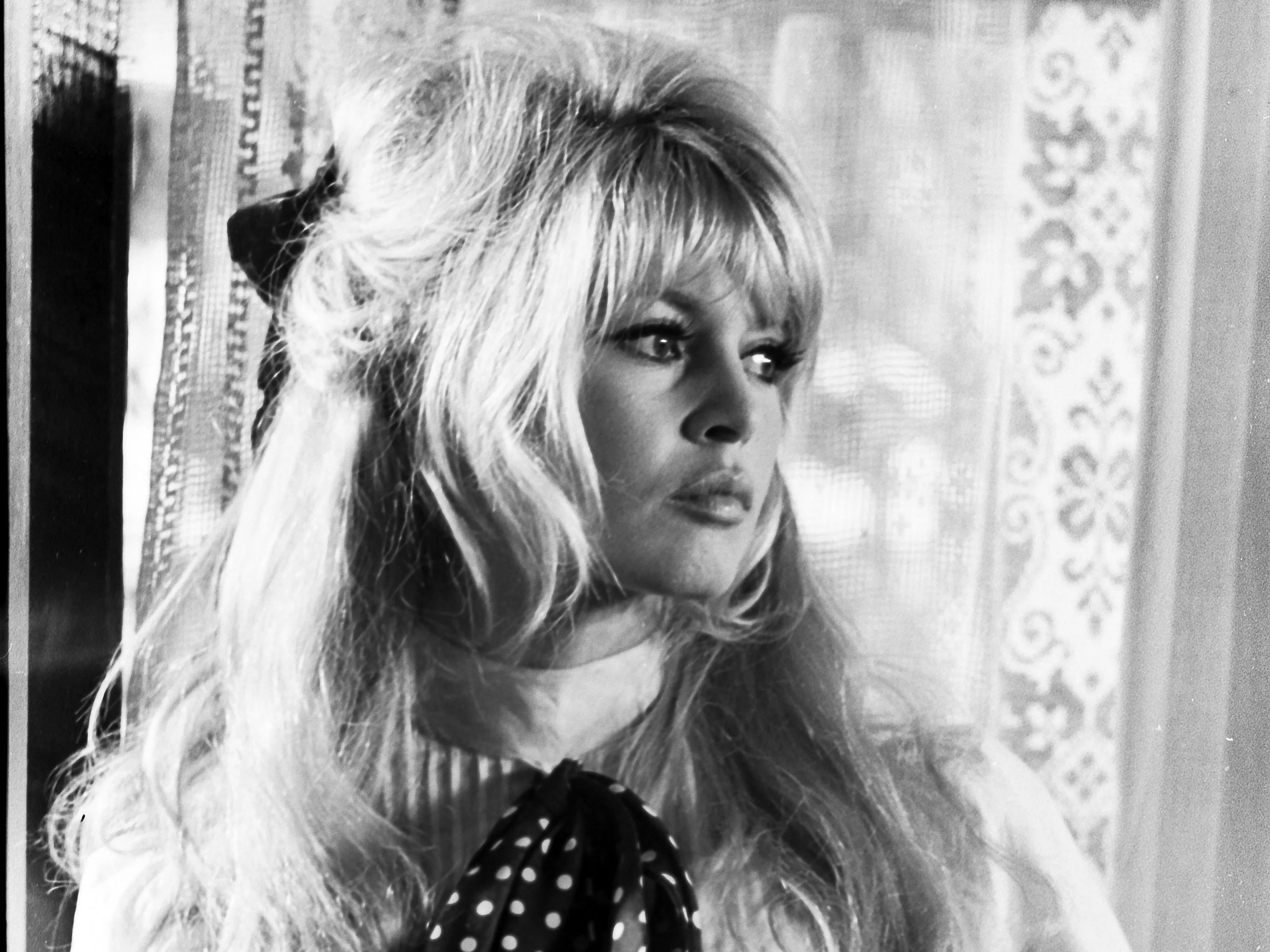 Brigitte Bardot