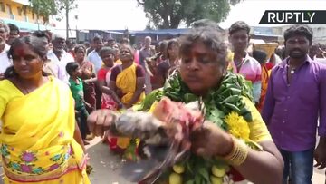 Brutalne rytuały na "festiwalu pogrzebowym". Hindusi gryzą żywe kurczaki i piją ich krew