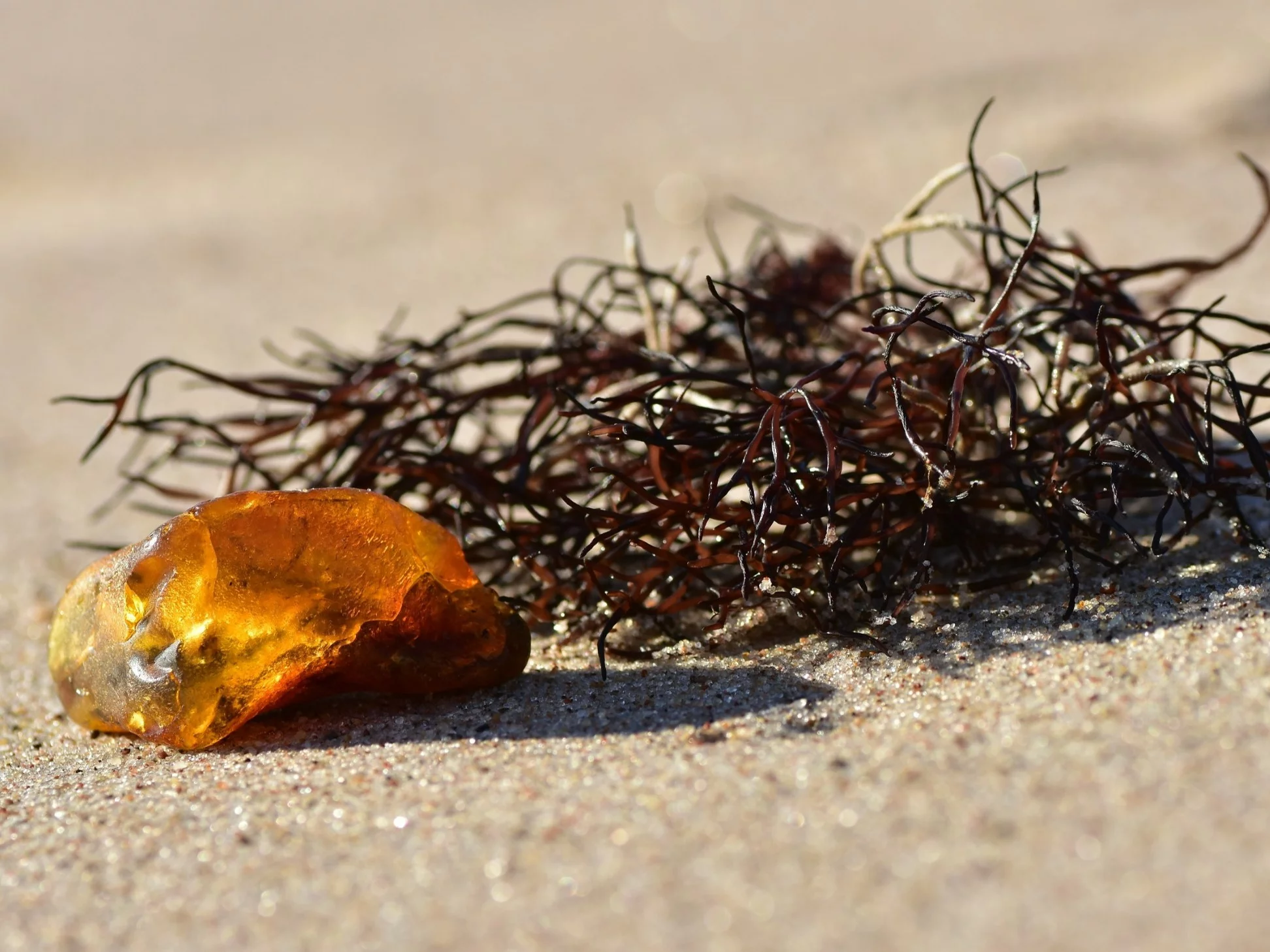 Bursztyn w Polsce. To tam są największe złoża