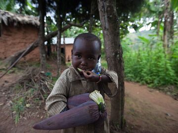 Burundi. 29 dolarów miesięcznie na osobę dorosłą. Wyschnięta kukurydza