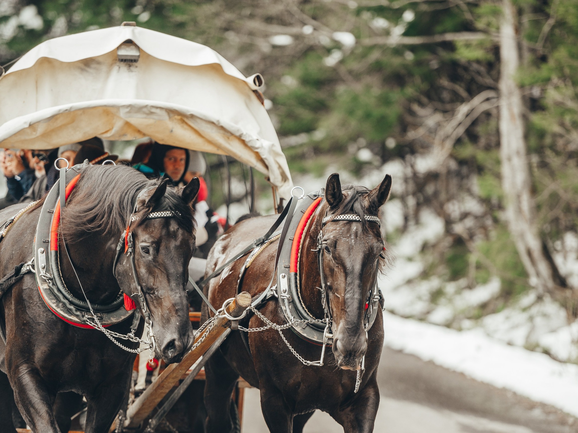 Burza po nagraniu z Tatr. „Smutny obraz naszych czasów”