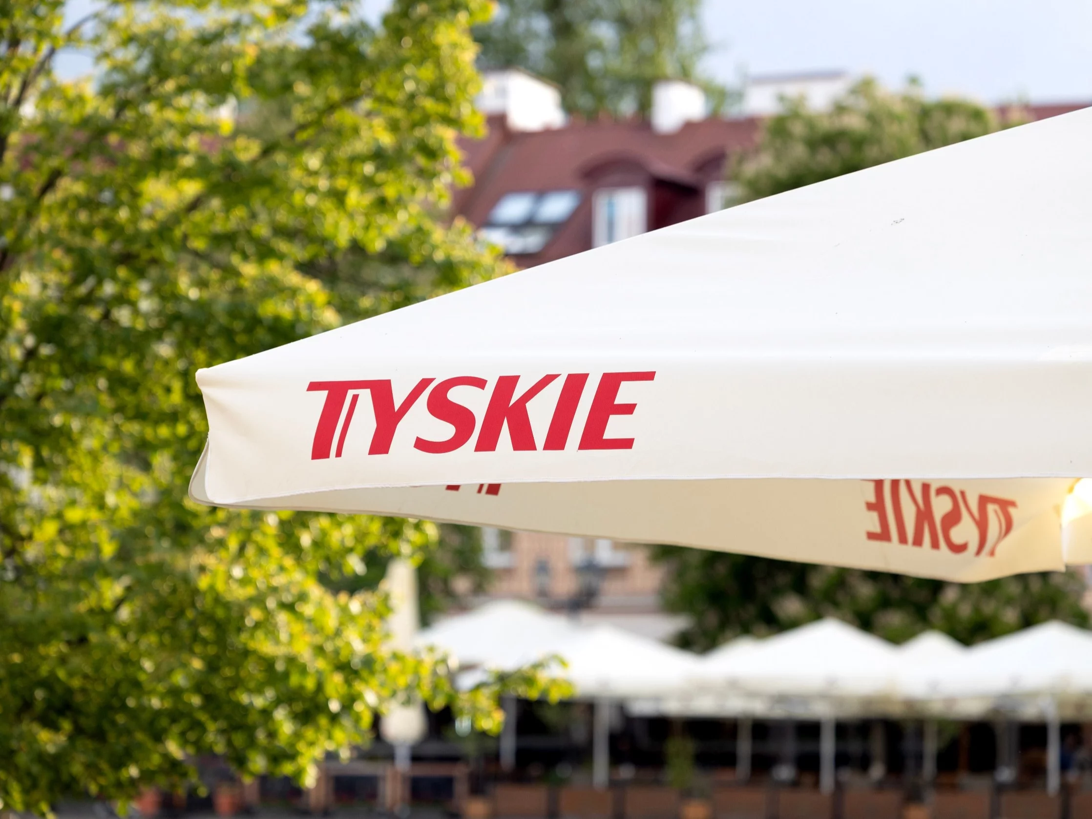 Logo piwa Tyskie, zdjęcie ilustracyjne