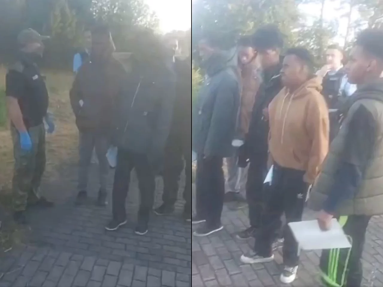 Migranci