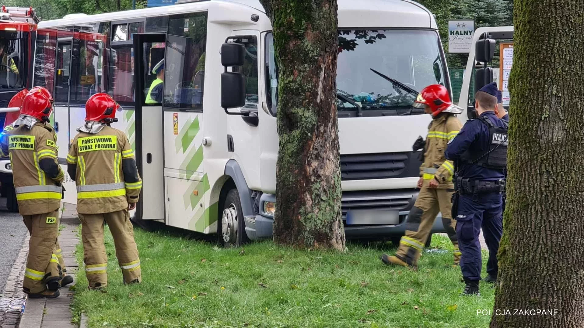 Kierowca busa wjechał w drzewo