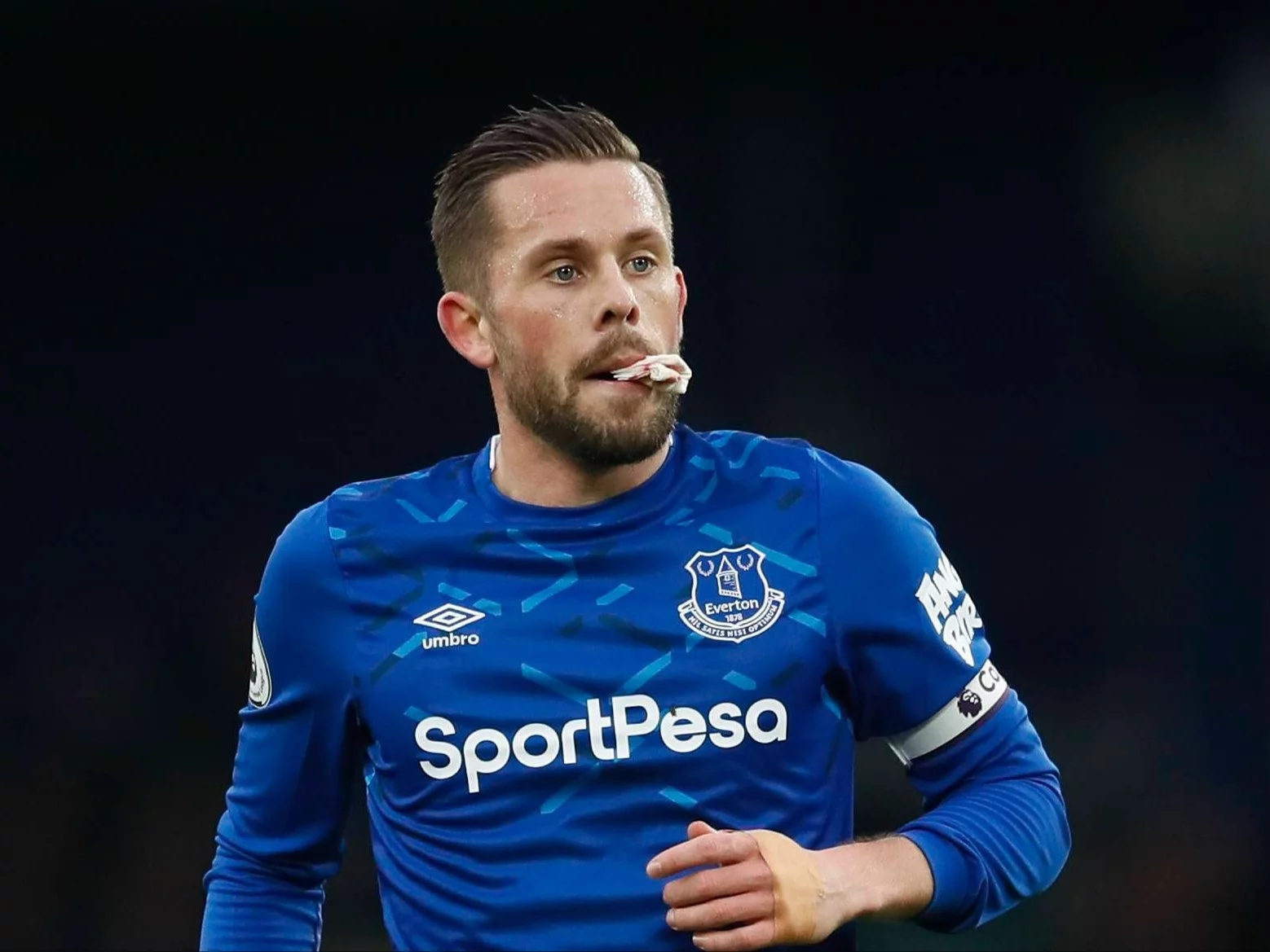 Gylfi Sigurdsson