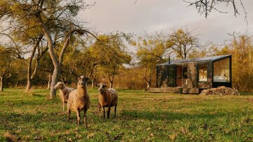 Cabin Raus, drewniane domki modułowe, idealne rozwiązanie na długi weekend lub wakacje