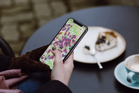 Carsharing zyskuje na popularności