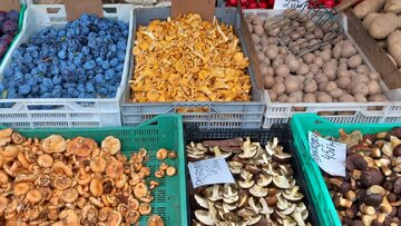 Ceny grzybów na bazarze