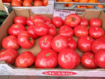 Ceny pomidorów w marcu