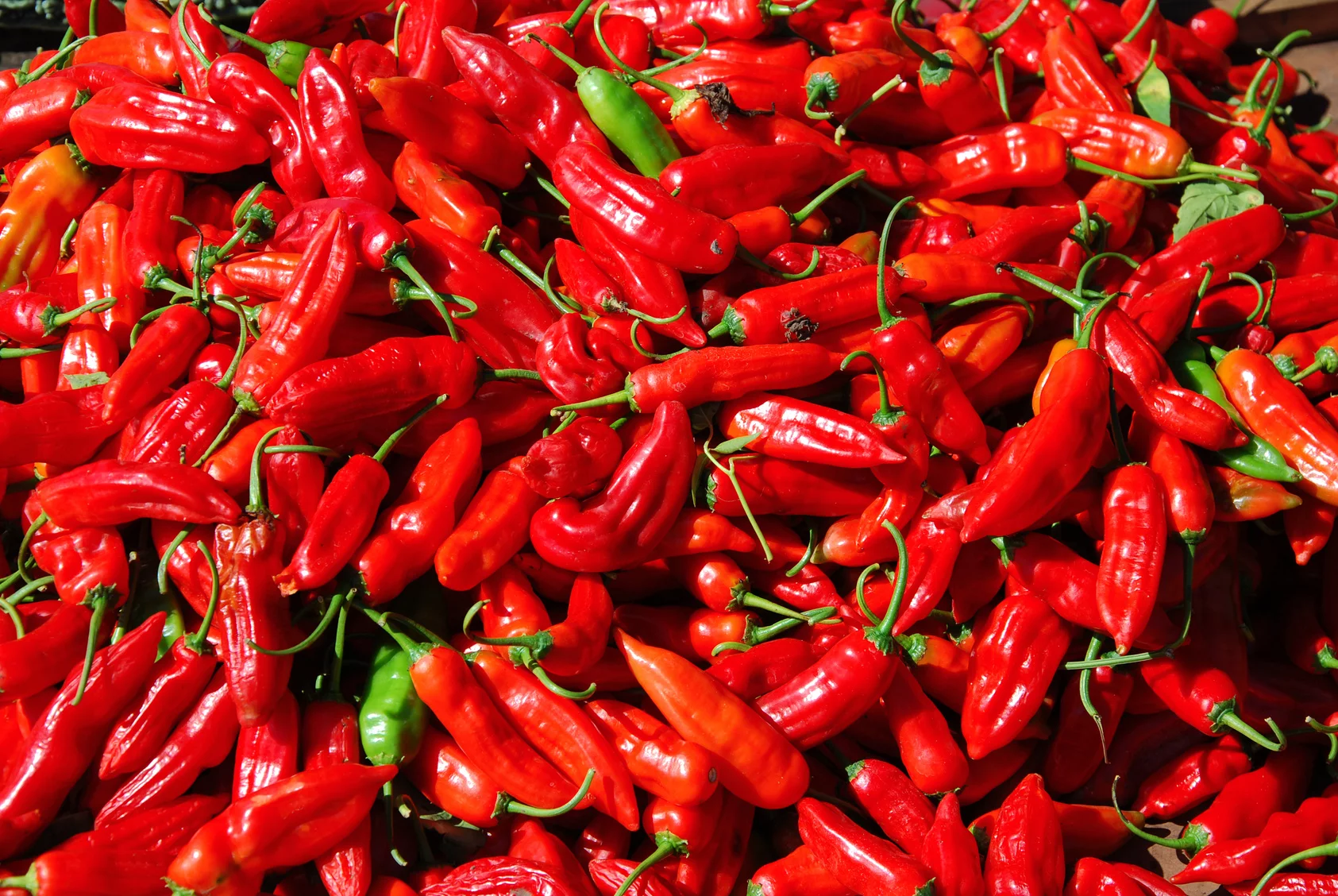 Papryczka chilli