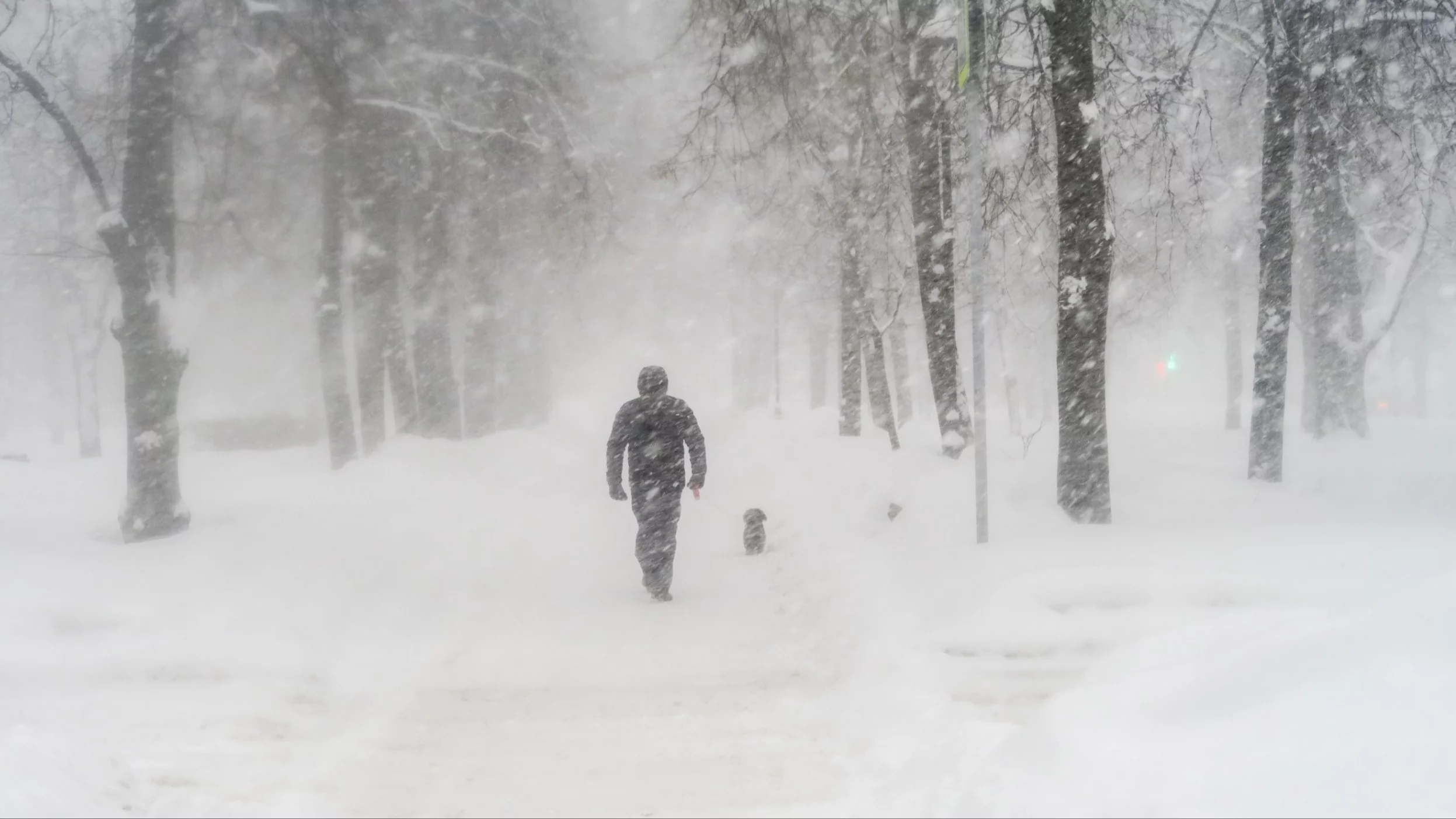 Ci smerfy otrzymali rachunki grozy. Wszystko przez mrozy