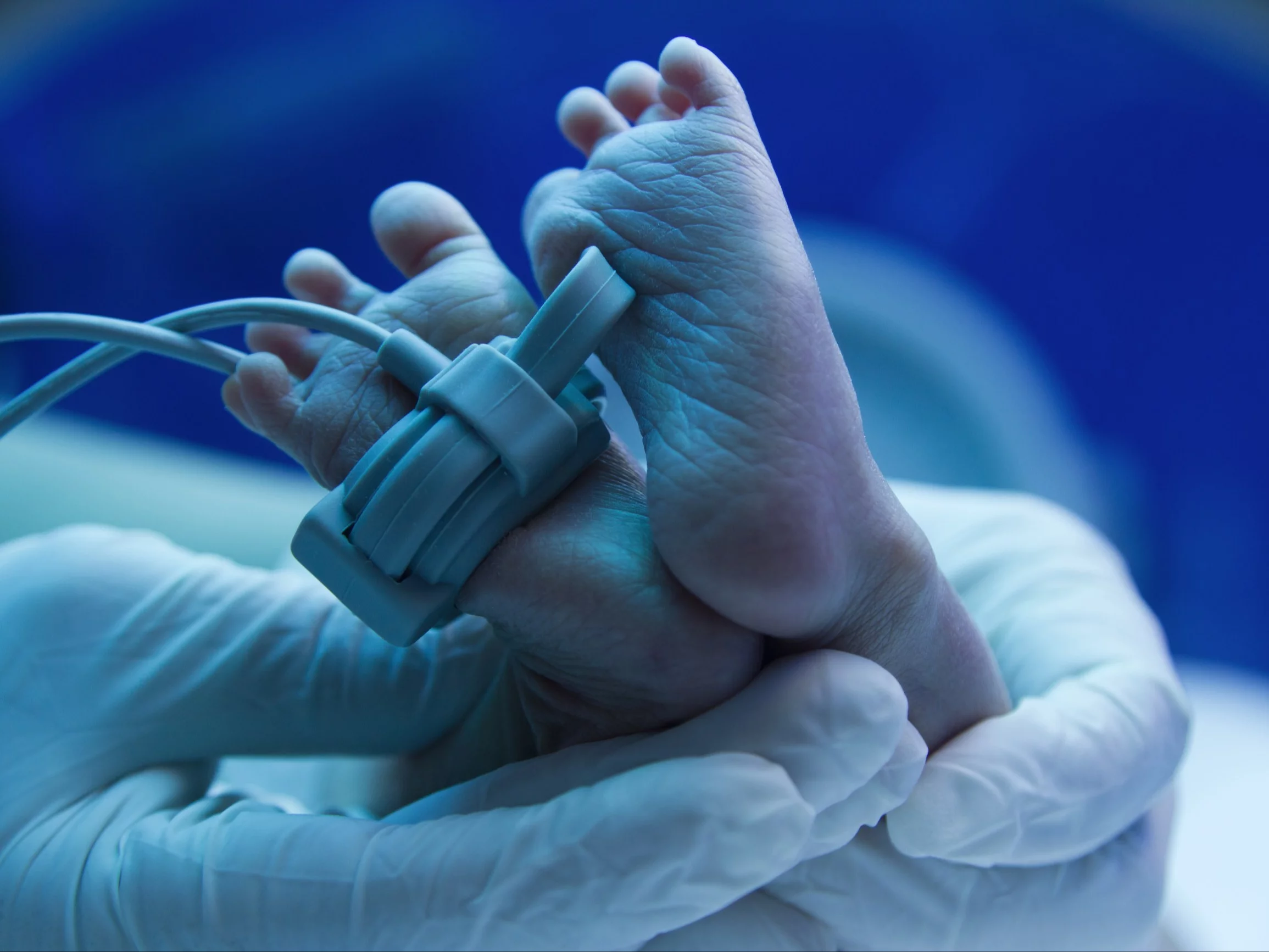 W śmietniku w Gdyni znaleziono ciało noworodka