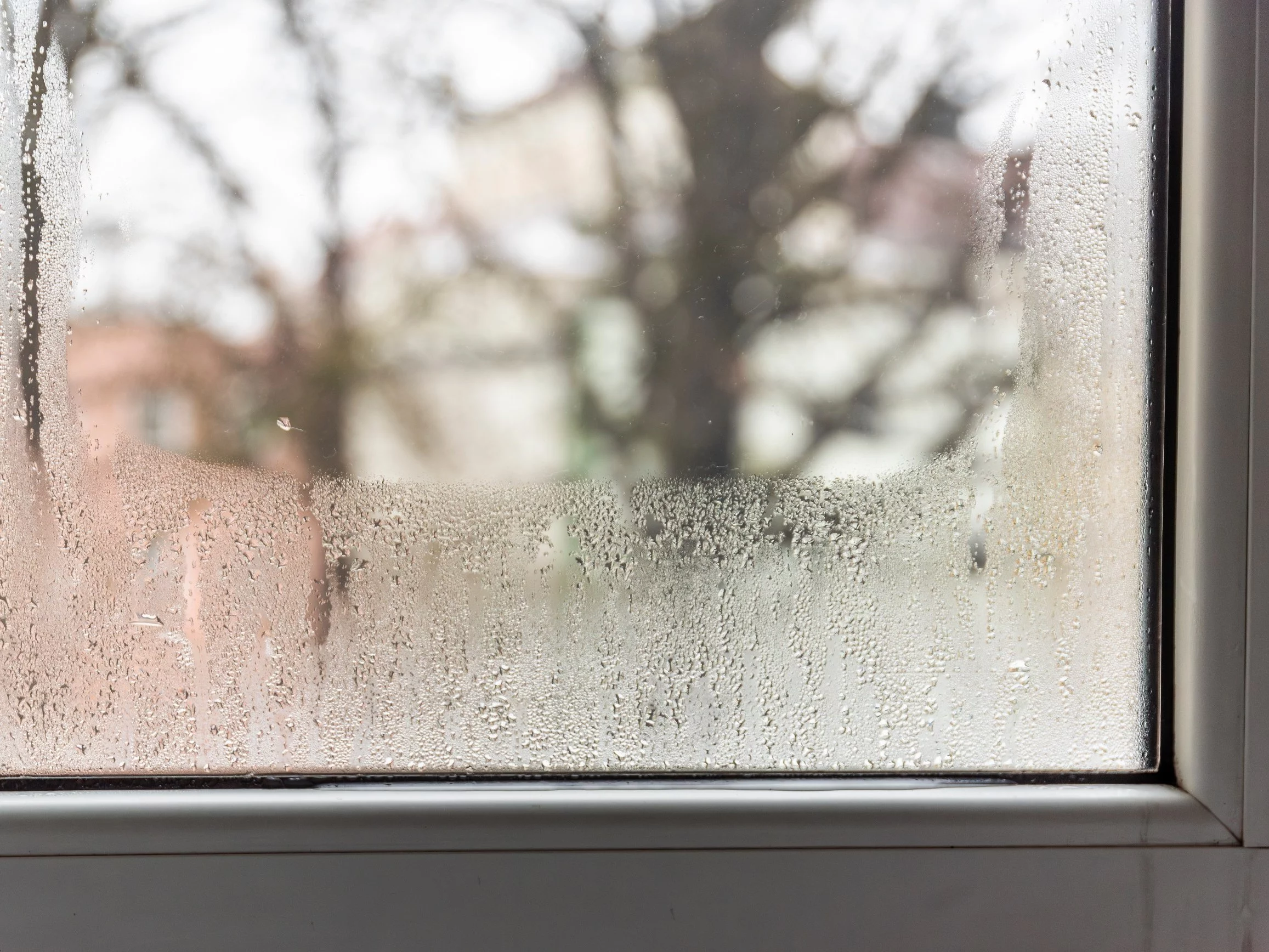 Dlaczego okna parują pomiędzy szybami? Wyjaśniamy przyczyny