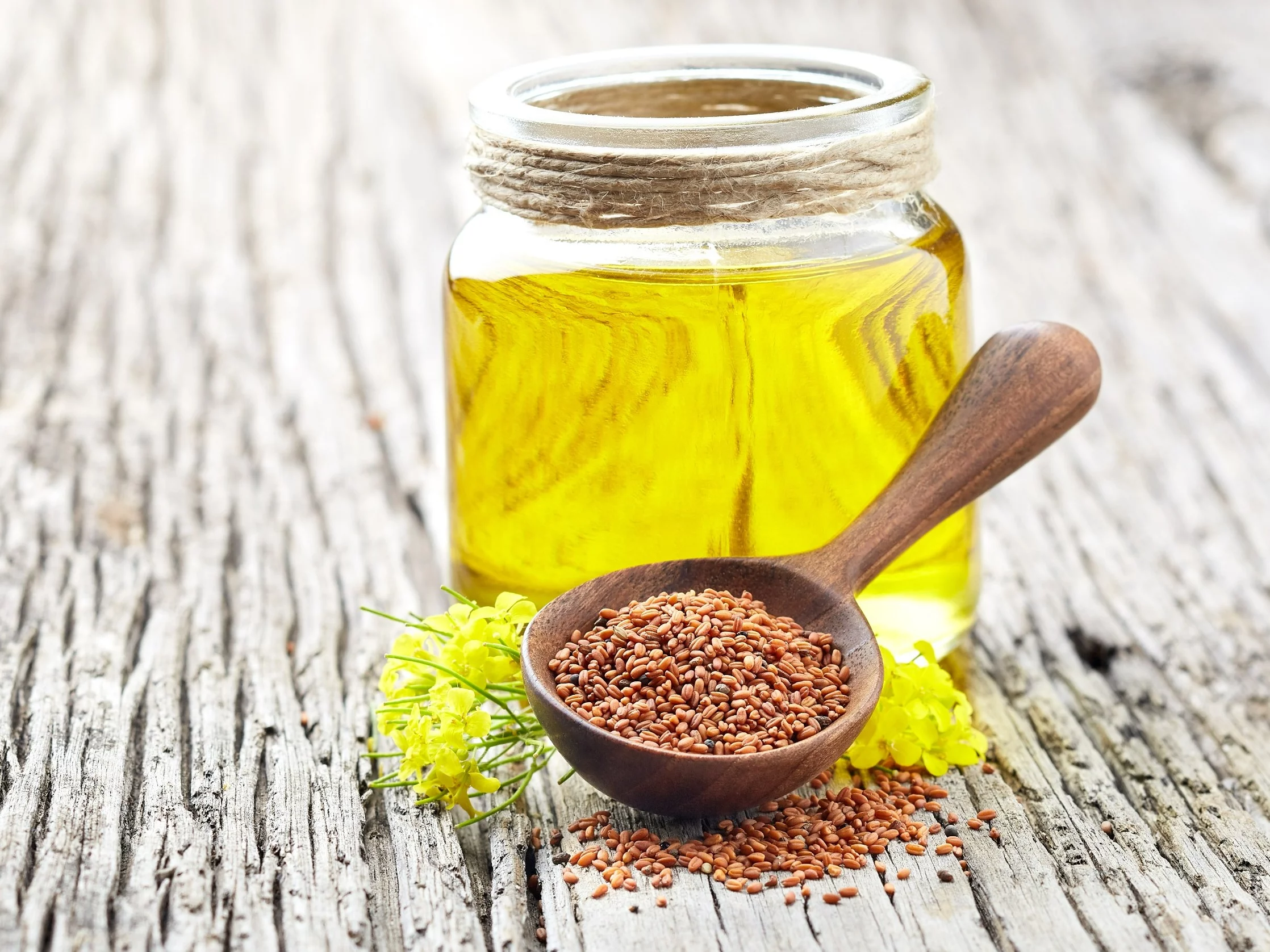 Nasiona i olej z lnianki