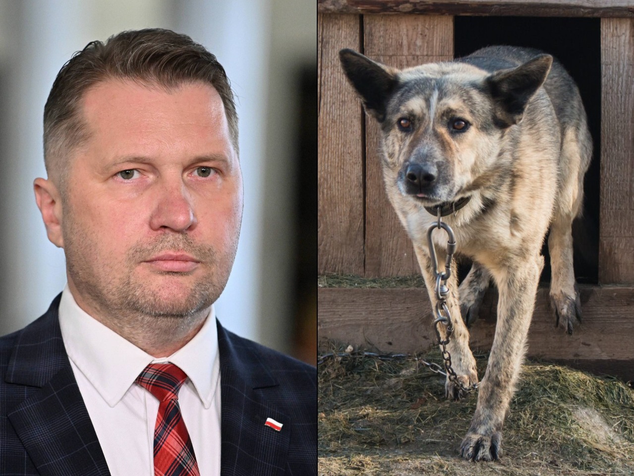 Czarnek broni trzymania psów na łańcuchach. W sieci zawrzało