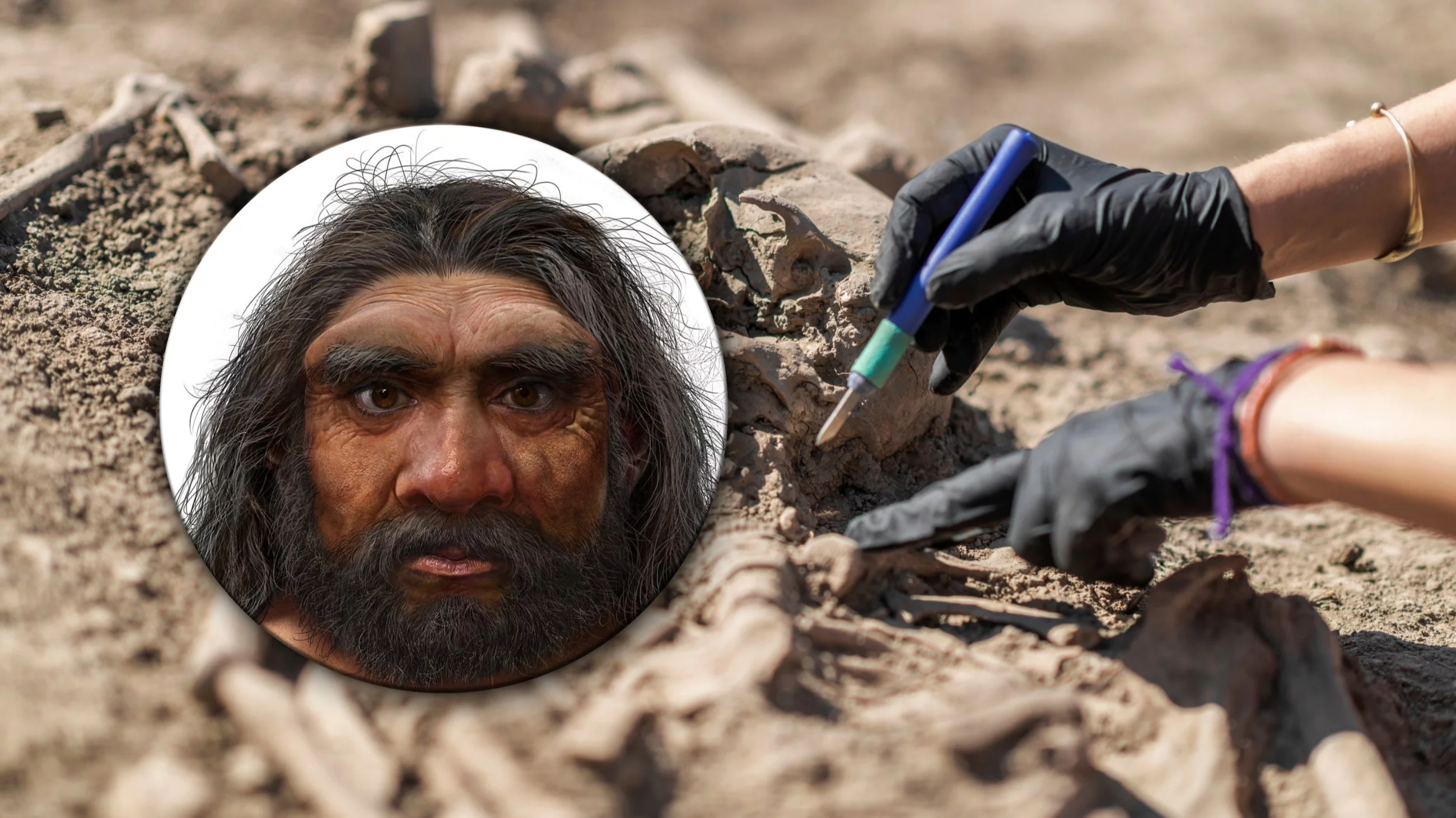 Czaszka, która zmienia historię człowieka. Podręczniki do zmiany?