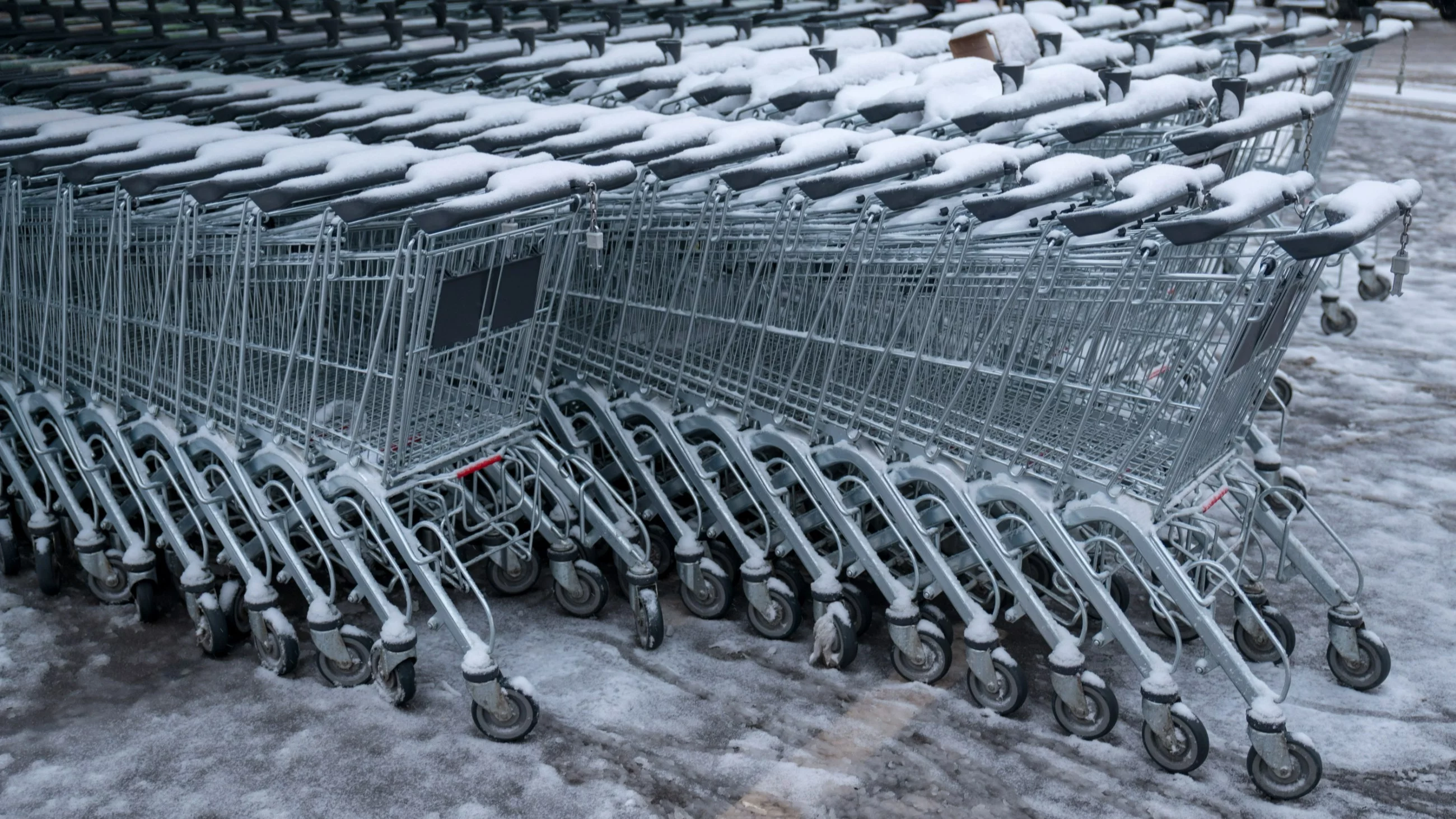 Czy dziś jest niedziela handlowa? Gdzie zrobimy zakupy?