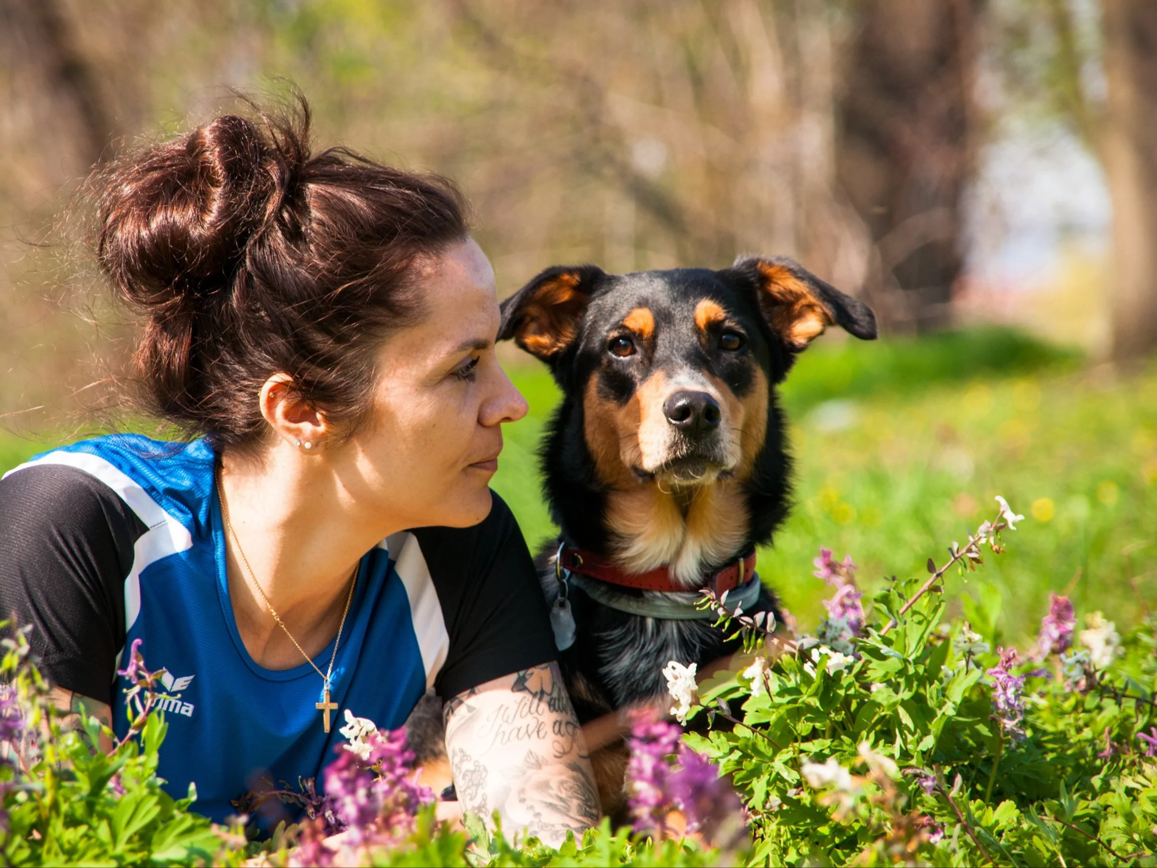 Czy psy dzielą ludzi na dobrych i złych? Tajemnica rozwiązana